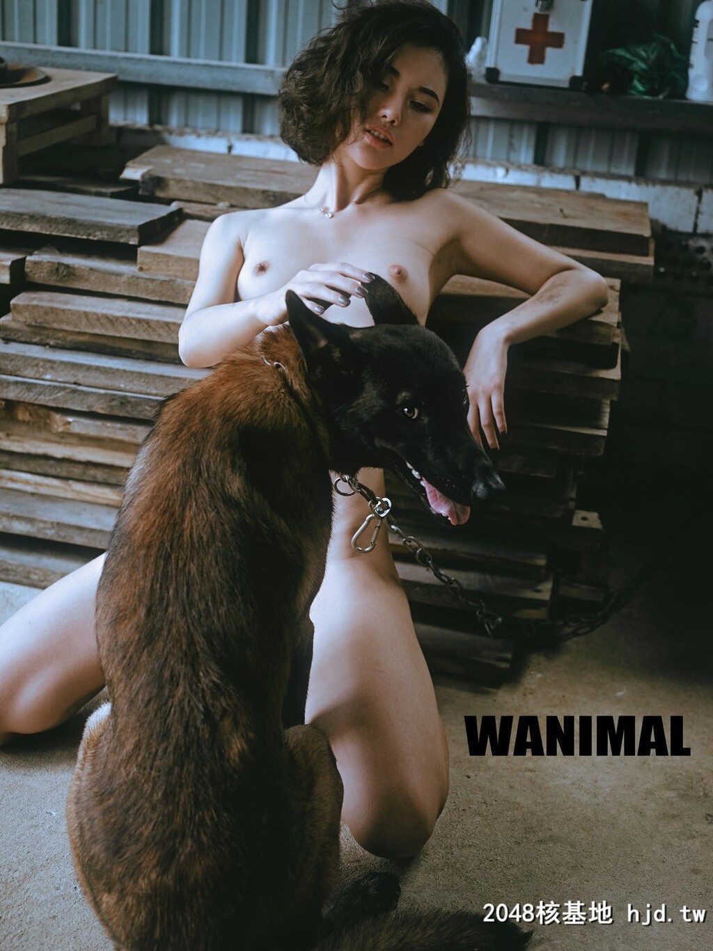 ［WANIMAL王动］Tumblr博客写真作品［50P］第一百一十八期[49P]第0页 作者:Publisher 帖子ID:125791 TAG:唯美图片,唯美清純,2048核基地