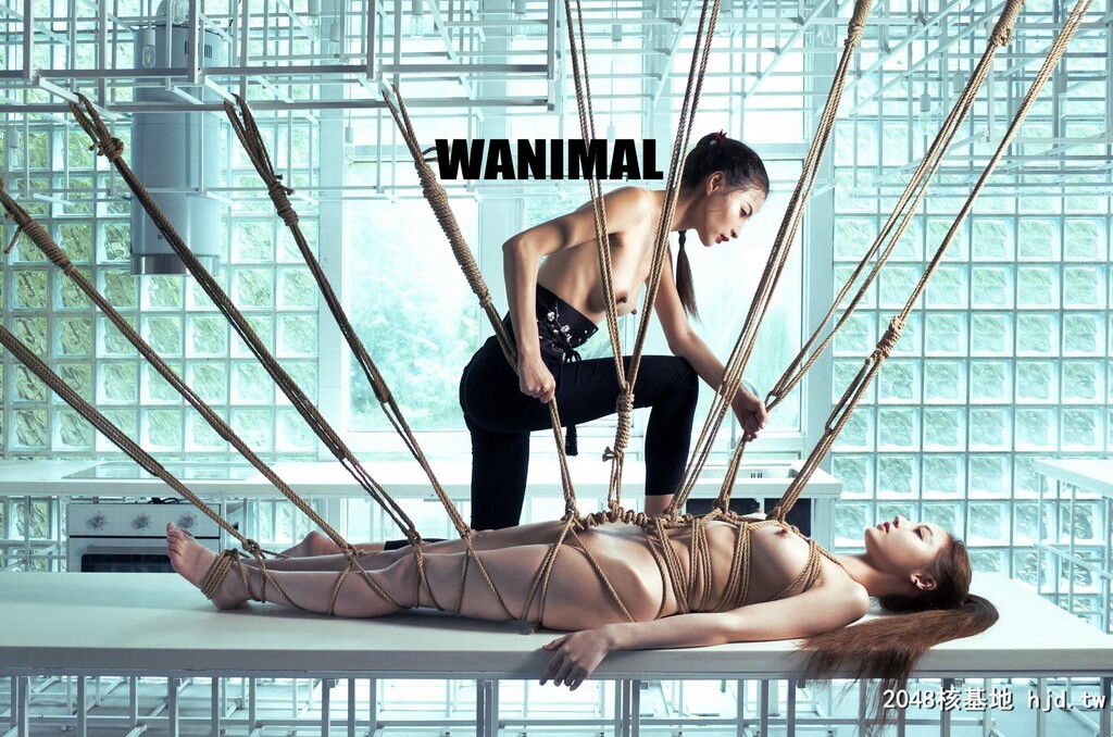 [WANIMAL王动]官方出品第17期VIP套图[154P]第1页 作者:Publisher 帖子ID:92200 TAG:唯美图片,唯美清純,2048核基地