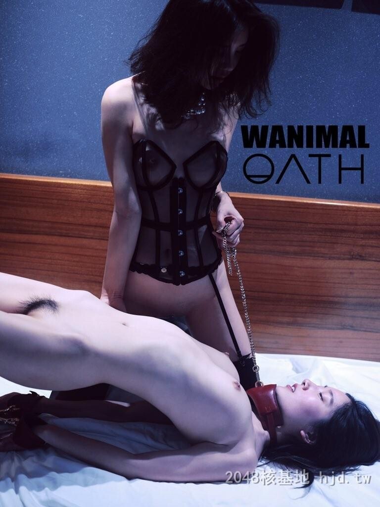 王动WANIMAL作品38[10p]第1页 作者:Publisher 帖子ID:267878 TAG:自拍图片,網友自拍,2048核基地