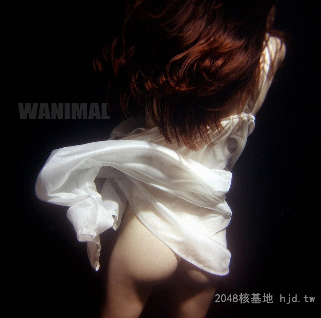 王动WANIMAL作品105[10p]第1页 作者:Publisher 帖子ID:275231 TAG:自拍图片,網友自拍,2048核基地