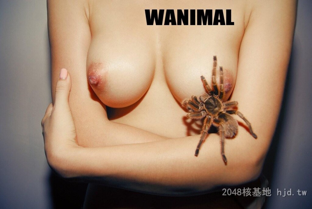 王动WANIMAL作品113[10p]第1页 作者:Publisher 帖子ID:279717 TAG:自拍图片,網友自拍,2048核基地