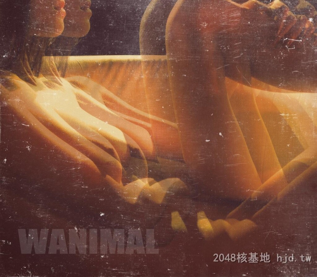 王动WANIMAL作品122[10p]第1页 作者:Publisher 帖子ID:262520 TAG:日本图片,亞洲激情,2048核基地