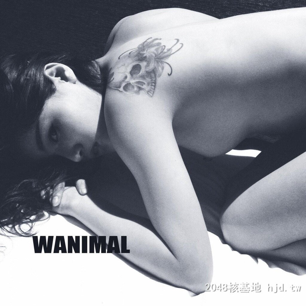 王动WANIMAL作品162[10p]第1页 作者:Publisher 帖子ID:285589 TAG:自拍图片,網友自拍,2048核基地