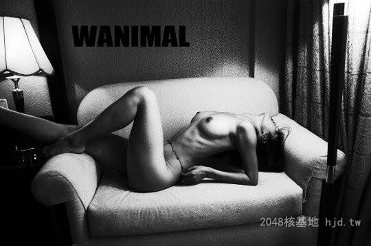 王动WANIMAL作品338[20p]第1页 作者:Publisher 帖子ID:284420 TAG:日本图片,亞洲激情,2048核基地