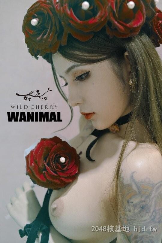 王动WANIMAL作品346[20p]第1页 作者:Publisher 帖子ID:284852 TAG:日本图片,亞洲激情,2048核基地